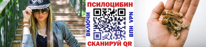 купить  цена  Вязники  Галлюциногенные грибы прущие грибы 